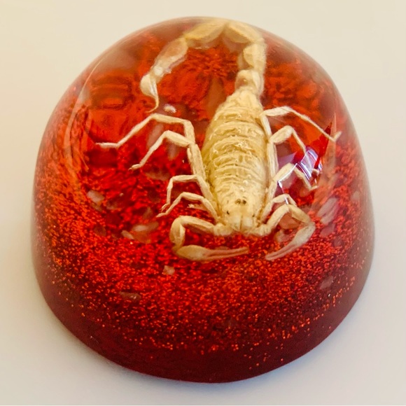 Scorpion Paperweight Acrylic Resin Dome Red Base with Glitter Felt Bottom - Picture 4 of 14
